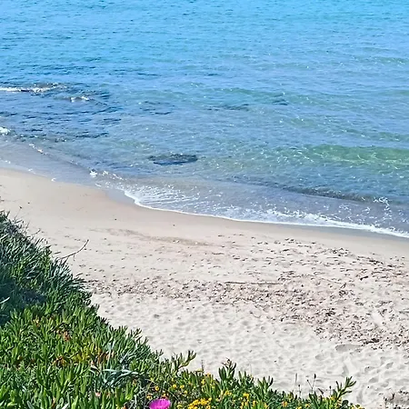 דירה Le Di Lidia Due Con Piscina E Accesso Diretto Al Mare קאסטלסארדו